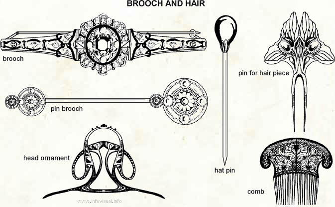 Brooch and hair